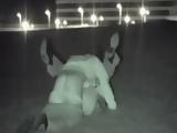 Caught Fucking In A Park By Nightvision Camera