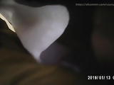 Local collage girls Upskirt