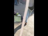 Huge MILF Ass Egypt Big