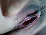 asean nurul fingering