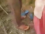 Lovers romance in outdoor 