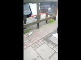 London Bootys