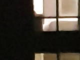My little Neighbour 
