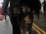 Round juicy british ass eatin up loose pants