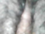 Pussy