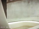 Vietnamese toilet