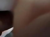 Sodomie