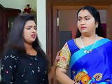 Satin Saree 13