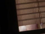 Spy window