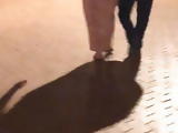 Moroccan Arab Arabe beurette Hijab big ass slut part 3